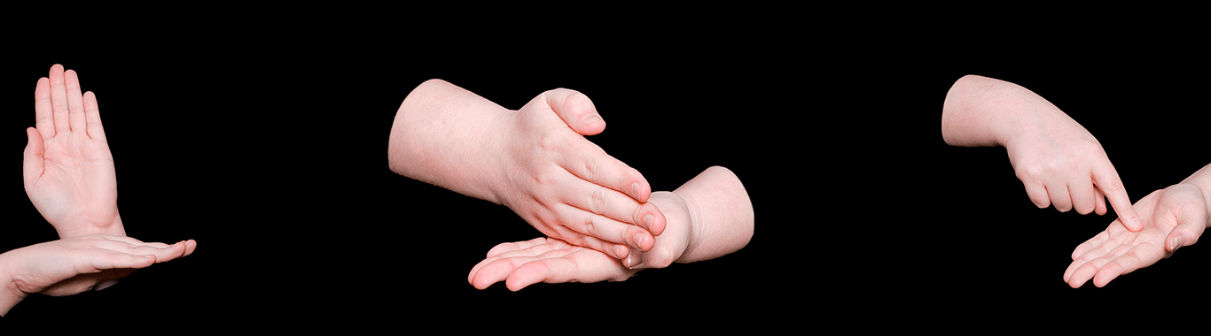 Língua Brasileira de Sinais (Libras) - Básico