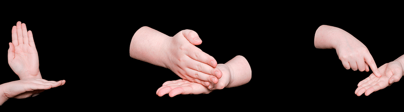 Língua Brasileira de Sinais (Libras) - Básico